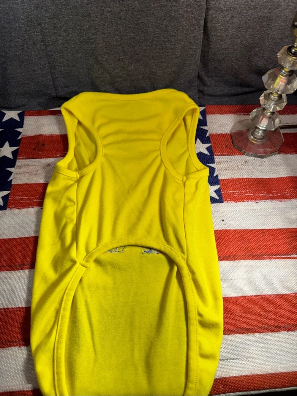Yellow Rainbow Appliqué Dog Tank Top